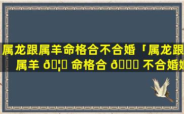 属龙跟属羊命格合不合婚「属龙跟属羊 🦈 命格合 🐝 不合婚姻」